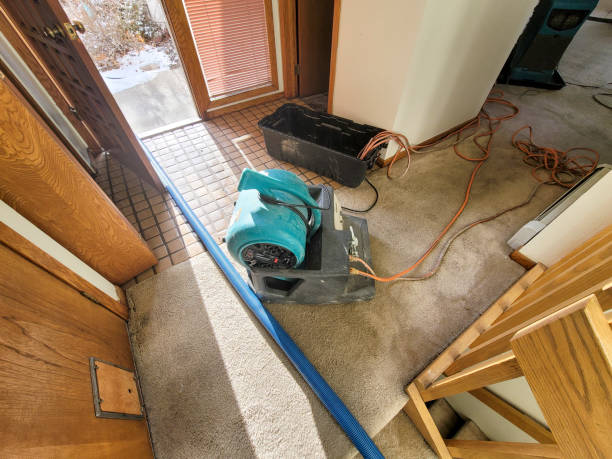  Bolivar Peninsula, TX Water damage restoration Pros