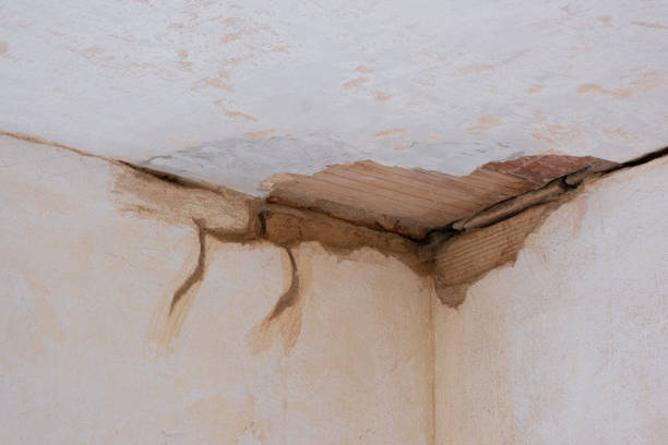 Best Carpet water damage restoration  in Bolivar Peninsula, TX