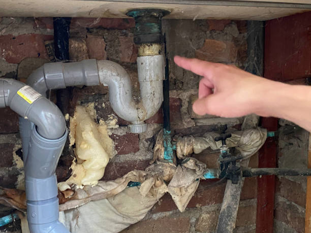 Best Ceiling water damage repair  in Bolivar Peninsula, TX