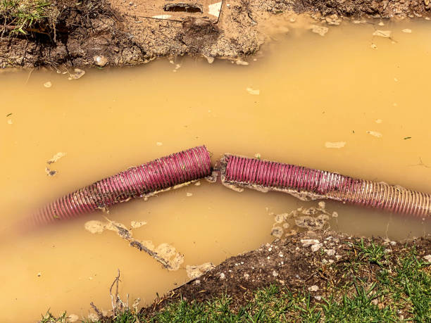 Professional Water damage restoration in TX